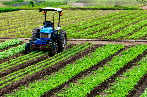 Agricultura autoriza 100 millones adicionales en ayudas directas de la PAC