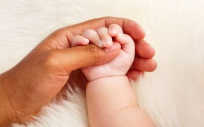 IMAS to Resume Information Sessions on Adoption Next Monday