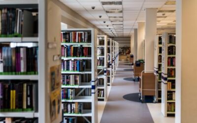 Menorca’s Library Network consolidates its growth with a 33.7% increase in visits