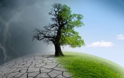The Balearic Government promotes the creation of climate shelters with 80% advance funding