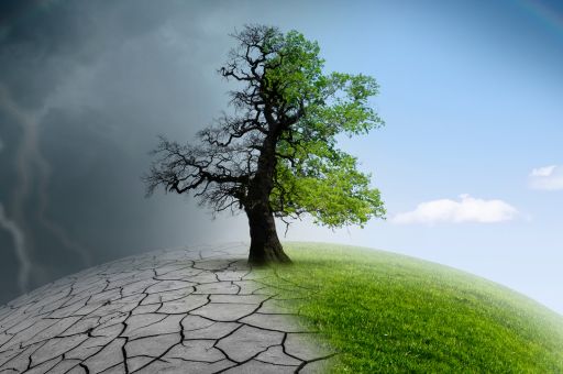 The Balearic Government promotes the creation of climate shelters with 80% advance funding