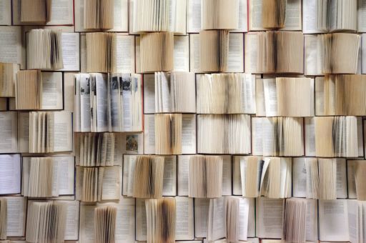 Institut d’Estudis Baleàrics increases subsidy to the University of the Balearic Islands to €272,000 for linguistic projects