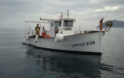 Balearic Government opens public consultation on new Fisheries Management Plan for the northern bays of Mallorca