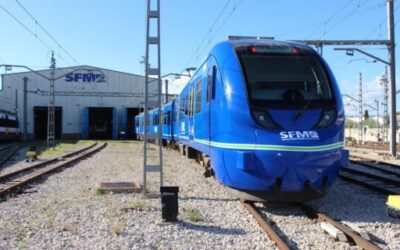 SFM restores regular schedules with more trains from September 1st