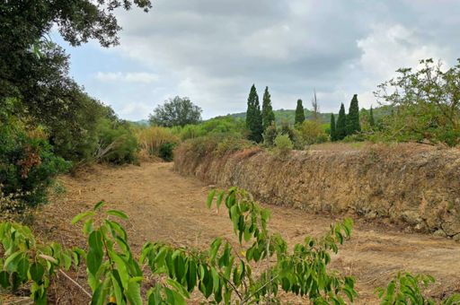 The Government Continues Maintenance and Cleaning of Streams in the Balearic Islands During August