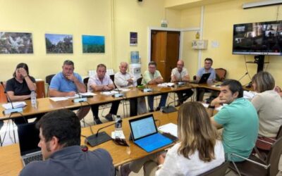 Olive Sector in the Balearic Islands to Request Special Exemption for Pomace Management and Olive Oil Marketing Rules