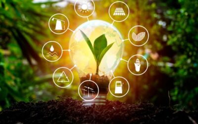 OTEIB doubles public service in August and surpasses 11,700 consultations in 2025