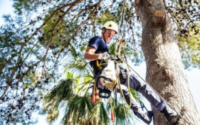 Over one million euros allocated to training programmes for young people at risk of school dropout