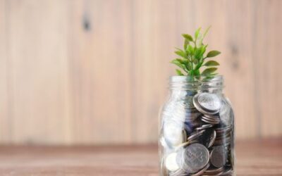 Investment of €2.2 million approved to ensure the supply of plasma-derived medicines in the Balearic Islands