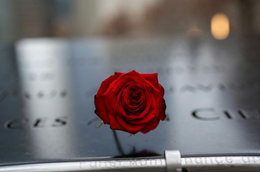 Spain to fund genetic identification of 108 Civil War victims exhumed in Colmenar Viejo
