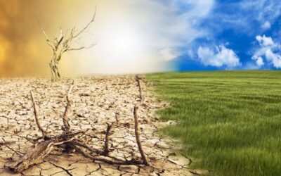 Spain to hold an annual national convention on the climate emergency in Ponferrada