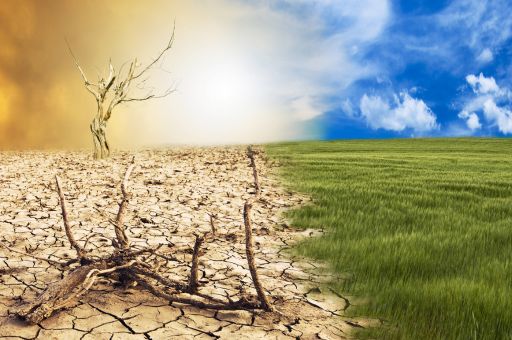Spain to hold an annual national convention on the climate emergency in Ponferrada