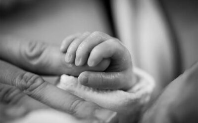 CURRENT 2 Spain’s Social Security processes over 356,000 parental leave benefits between January and September 2025