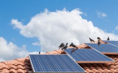 ACTUALIDAD 6 Reactivado el acceso a ayudas para el autoconsumo y facilitada la recuperación de inversiones inicialmente revocadas por el efecto incentivador