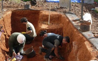 CURRENT 3 Excavations under the Fifth Mass Graves Plan conclude in Ses Figueretes with the recovery of human remains