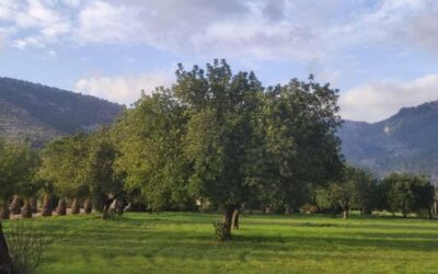 The first bilateral meeting with the Ministry of Agriculture launches negotiations on the future CAP