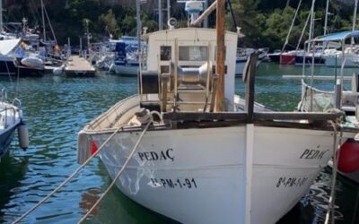 El Govern remite alegaciones al Ministerio contra el nuevo reglamento del DEA y apoya la protesta del sector pesquero balear