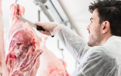 Menorca recibe cerca de un millón de euros para mejorar el impacto ambiental del matadero de Ciutadella