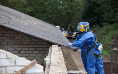 MyTDB 9 IBASSAL reports a 22% increase in asbestos exposure work plans over two years