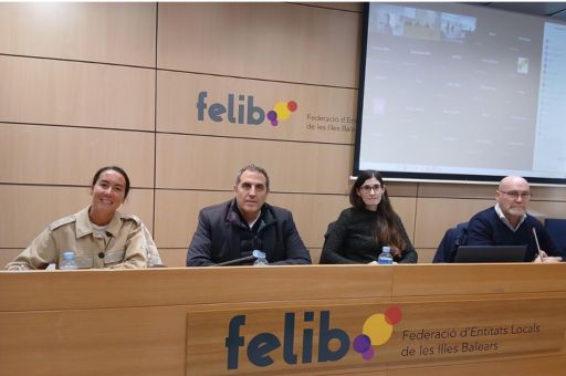 Administrative simplification for self-protection plans promoted through the SISTRA2 platform