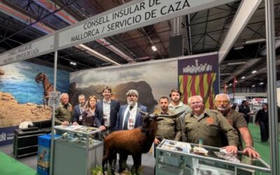 Mallorca impulsa el turismo cinegético y la conservación del boc balear en la Feria Cinegética 2026