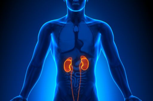 Hemodialysis services contract extended until 2028 with a €3.77 million investment