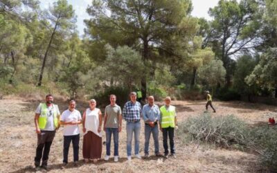 Mallorca advances its plan to reduce wildfire risk in the Serra de Tramuntana