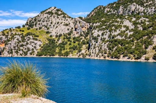 Balearic Islands water reserves fall to 38% in August as Artà moves into alert status