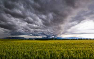 ACTUALIDAD 9 La DANA Adam mantiene el riesgo de lluvias intensas en las Illes Balears hasta el martes